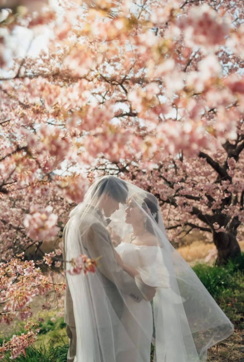 We's COLOR_投稿写真