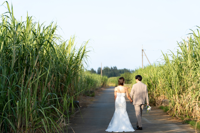宮古島の自然の中でのびのび撮影_53617_投稿写真_3