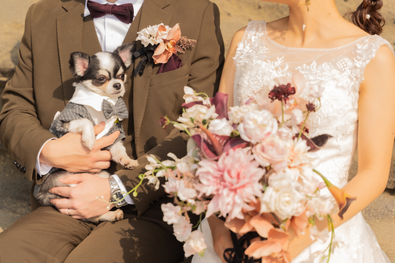 SHIENA studio_投稿写真