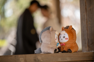 前撮り結婚式.com 縁photo _アドバイス写真