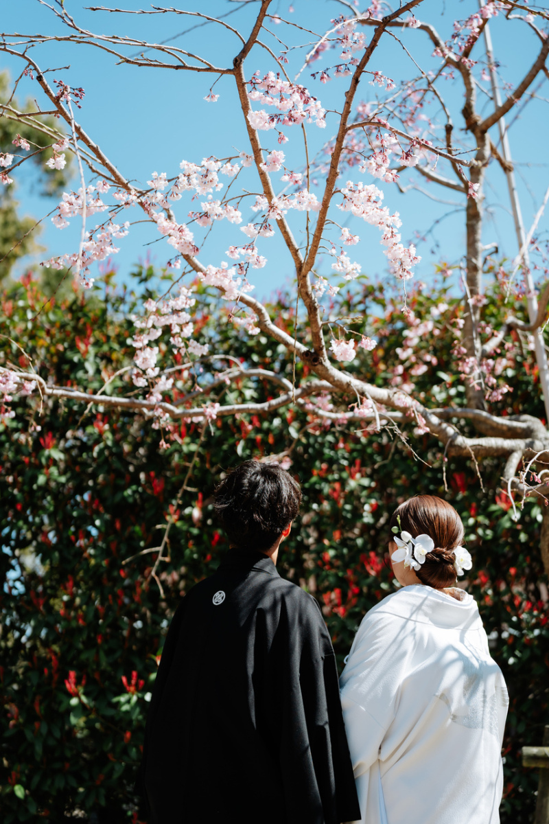 写真の仕上がりが早い！_53921_投稿写真_1