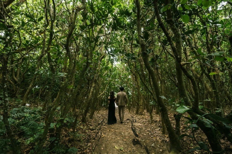 曇りでも綺麗に仕上げてもらえました_53838_投稿写真_3
