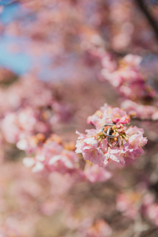 STUDIO AQUA 横浜駅前店（スタジオAQUA）_アドバイス写真