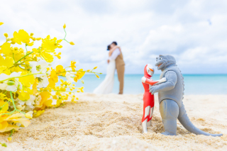 Sunny Snap OKINAWA_アドバイス写真