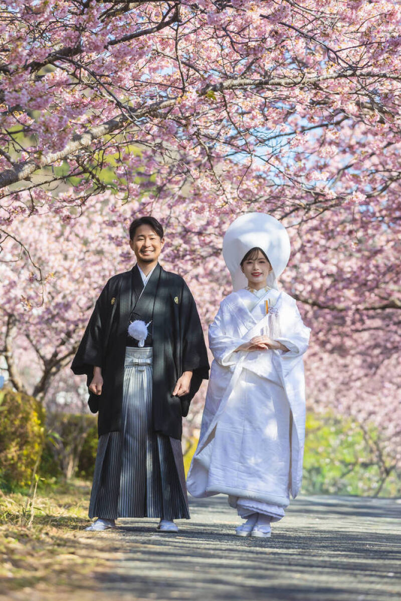 早咲きの河津桜ロケーションフォト_53901_投稿写真_1