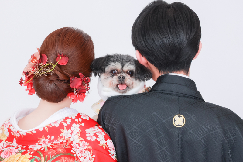 アットホームな雰囲気で記憶に残る1日になるスタジオです！_53928_投稿写真_1