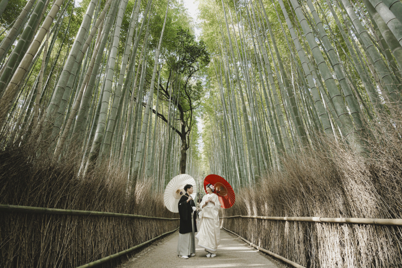 ペットと撮影可能_54060_投稿写真_1