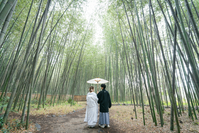 京都 あざらし堂 ー写真部ー_投稿写真