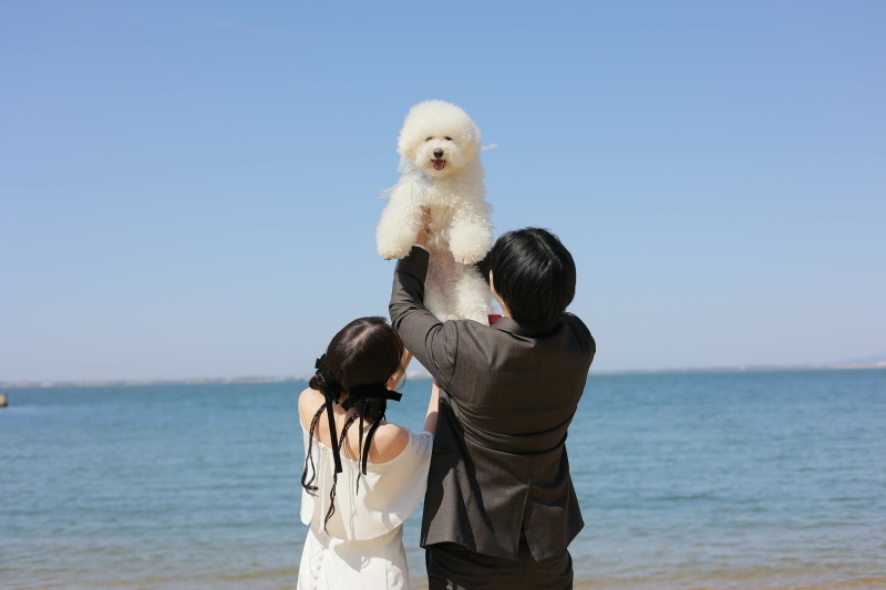 大切な家族(ペット)と残せた特別な一日_54116_投稿写真_1