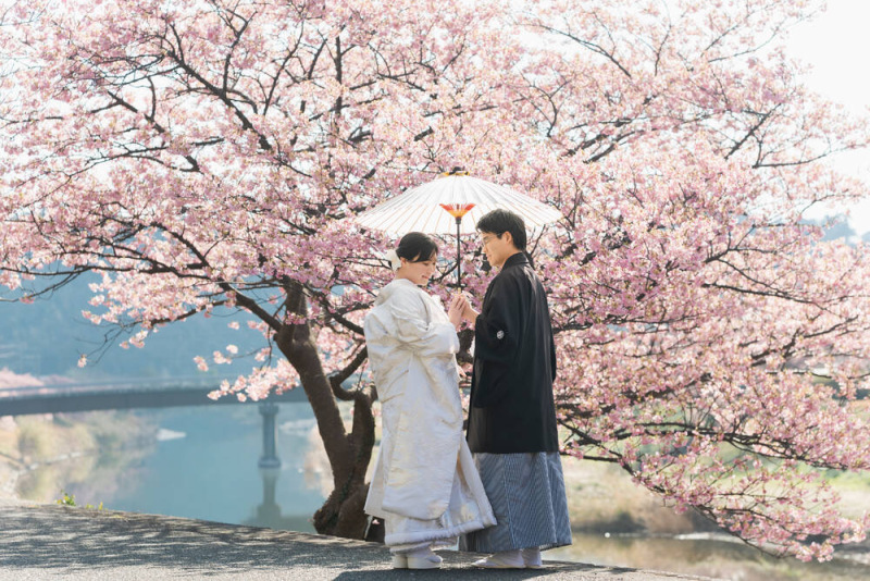 伊豆での前撮り_54132_投稿写真_1