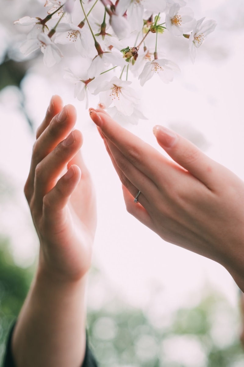 Jheart 江ノ島_投稿写真