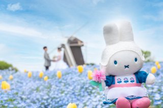 前撮り結婚式.com 縁photo _アドバイス写真