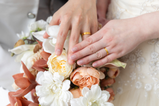 studio TO-WA_アドバイス写真