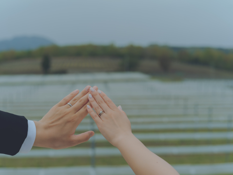 中伊豆ワイナリーシャトーT.S_投稿写真