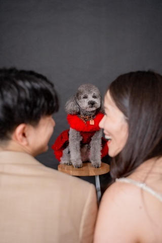 INAI WEDDING SELF PHOTO STUDIO 東京大塚_アドバイス写真