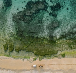 シエロ・イ・マーレ 沖縄 ~チャペルnature~_アドバイス写真