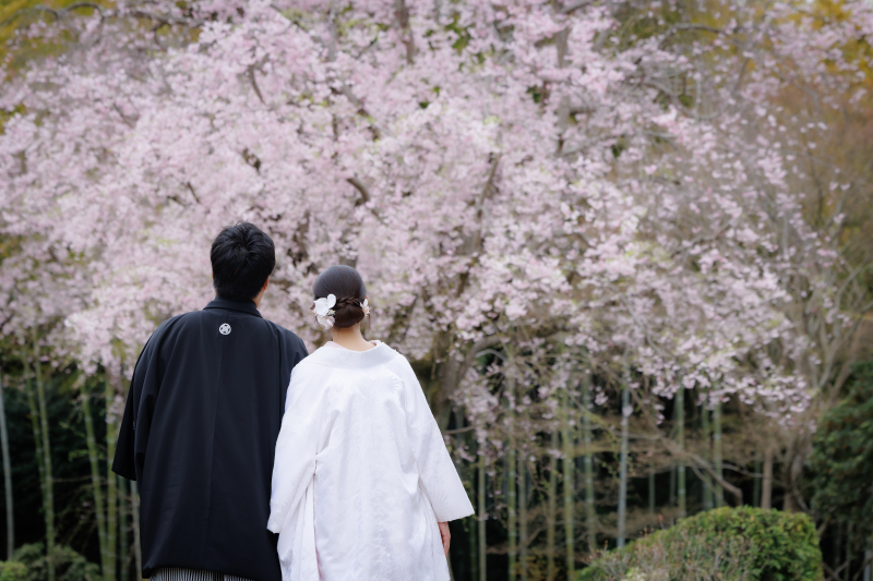 追加料金なしの料金プラン、全データ受け取り可能_54402_投稿写真_1