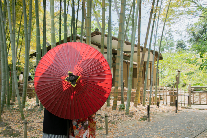 良心的なスタジオ_54558_投稿写真_1