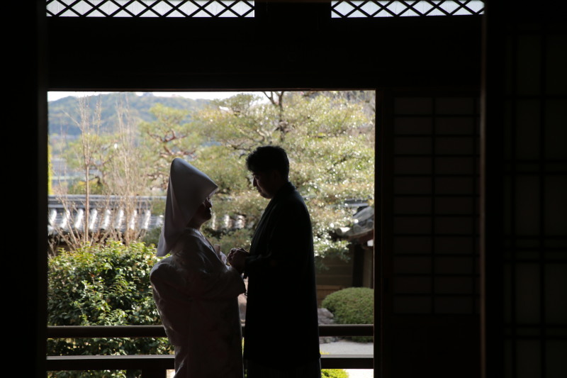 春の京都の思い出になりました_54655_投稿写真_1