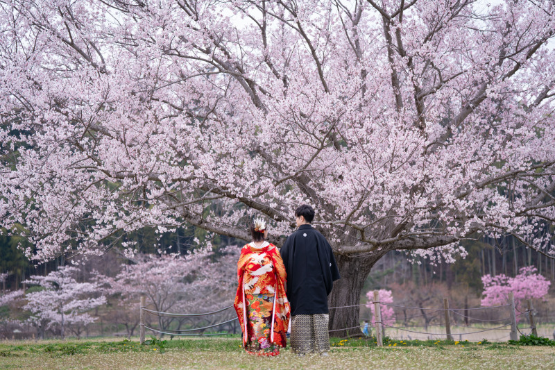 偕楽園で撮影が可能、和装も種類が多く、特別な体験に_54659_投稿写真_1