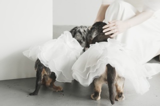 INAI WEDDING NAGOYA_アドバイス写真