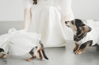 INAI WEDDING NAGOYA_アドバイス写真