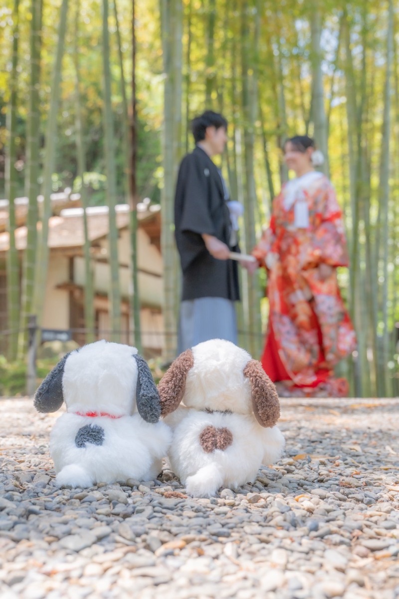 手際のいいスタッフさんとスムーズな写真撮影が行えた_54781_投稿写真_1