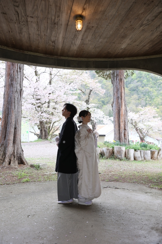 和装で桜ロケーション撮影！_54787_投稿写真_1