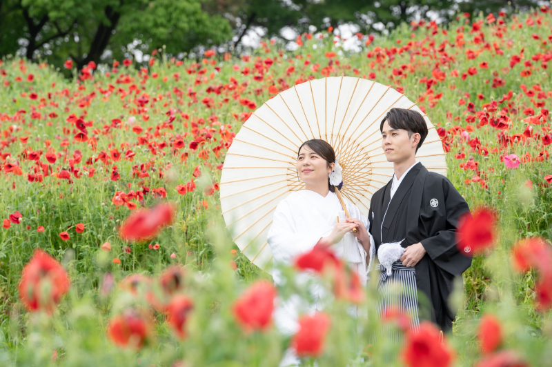 和装にぴったりなポピーの花畑や日本庭園での撮影が可能です！_54887_投稿写真_3