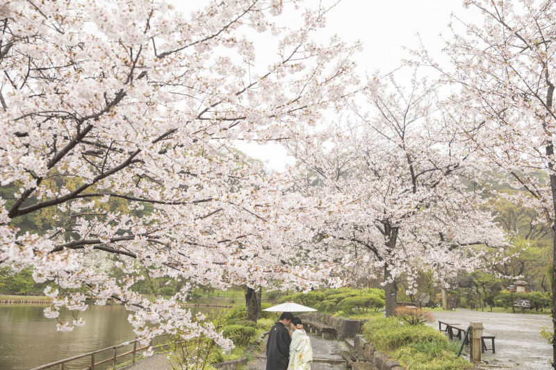 雨天でも最高の仕上がり_55595_投稿写真_1