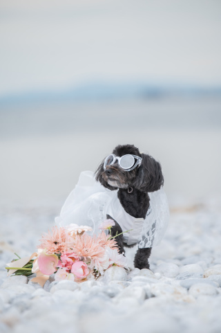 前撮り結婚式.com 縁photo _アドバイス写真