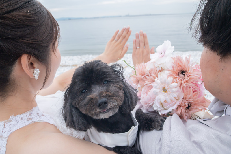 前撮り結婚式.com 縁photo _投稿写真