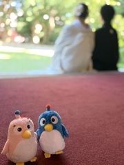ONE PHOTO WEDDING 高宮庭園_アドバイス写真