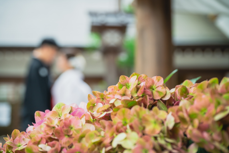 華雅苑　阿佐ヶ谷店_投稿写真