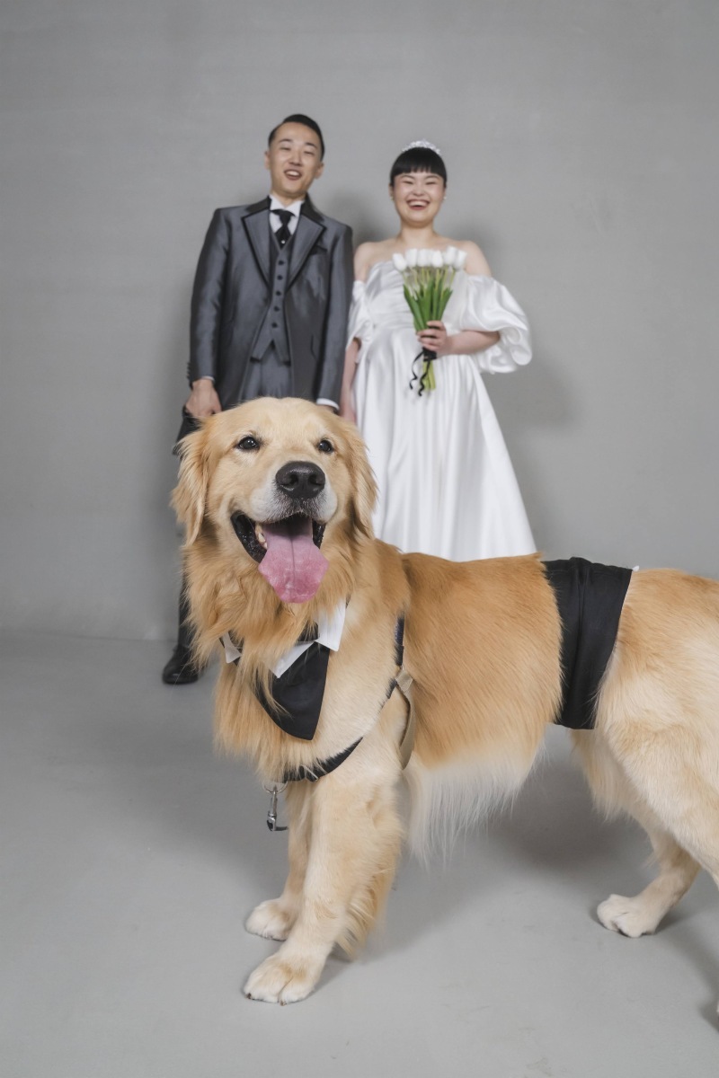 Fairy Photo Wedding_投稿写真