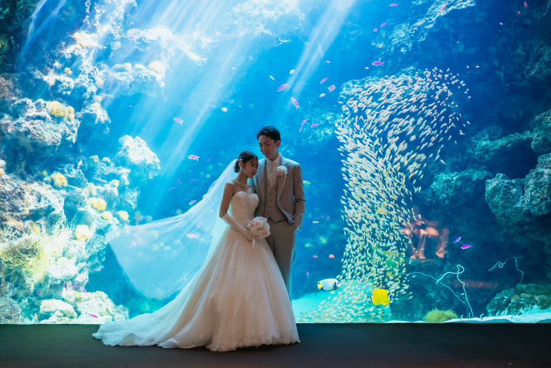 水族館での撮影でした_57016_投稿写真_1