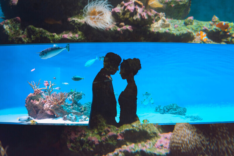 Jheart 江ノ島_投稿写真