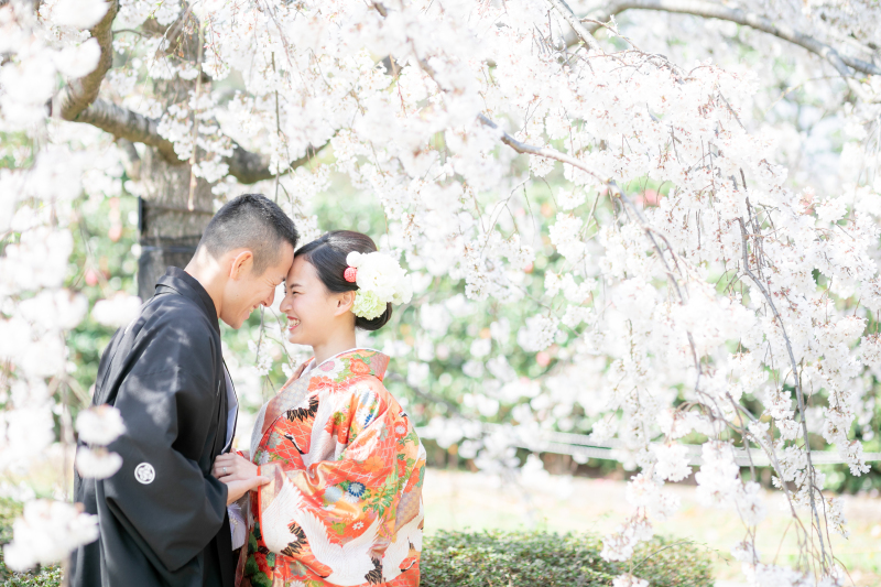 コスパ良しで撮影データが盛りだくさん_5511_投稿写真_1