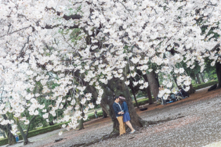 24to wedding_アドバイス写真