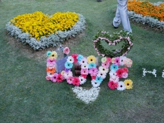 COTSWOLDS(コッツウォルズ）_アドバイス写真