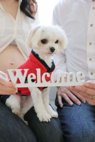 ＨＡＰＩＳＴＡ堀江店_アドバイス写真