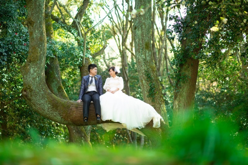 LUCE フォトスタジオ_投稿写真