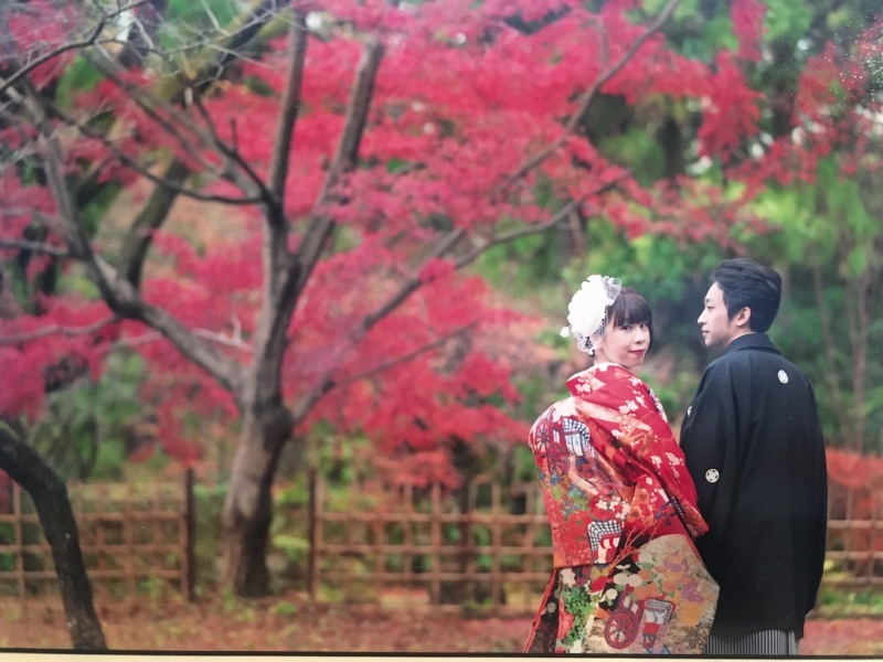 京都 美翔苑（KYOTO BISHOUEN）_投稿写真