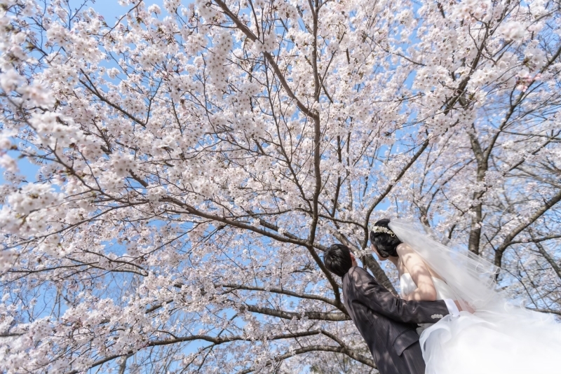 【おすすめ】思い出に残る100点のフォトウェディング！_6266_投稿写真_2