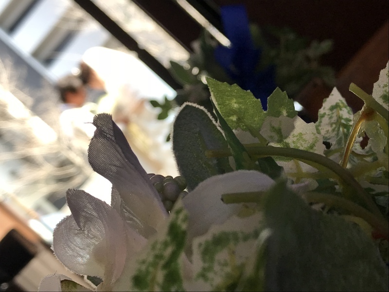 楽しく撮影できました_6394_投稿写真_3