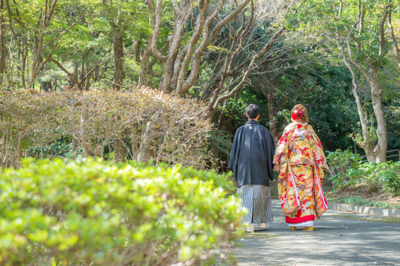 グラフィックアルファ_投稿写真