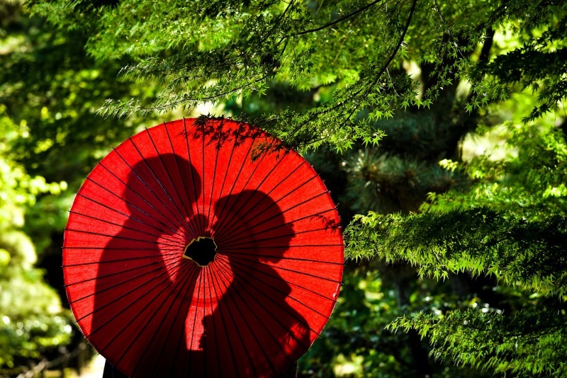 華雅苑 横浜店_投稿写真