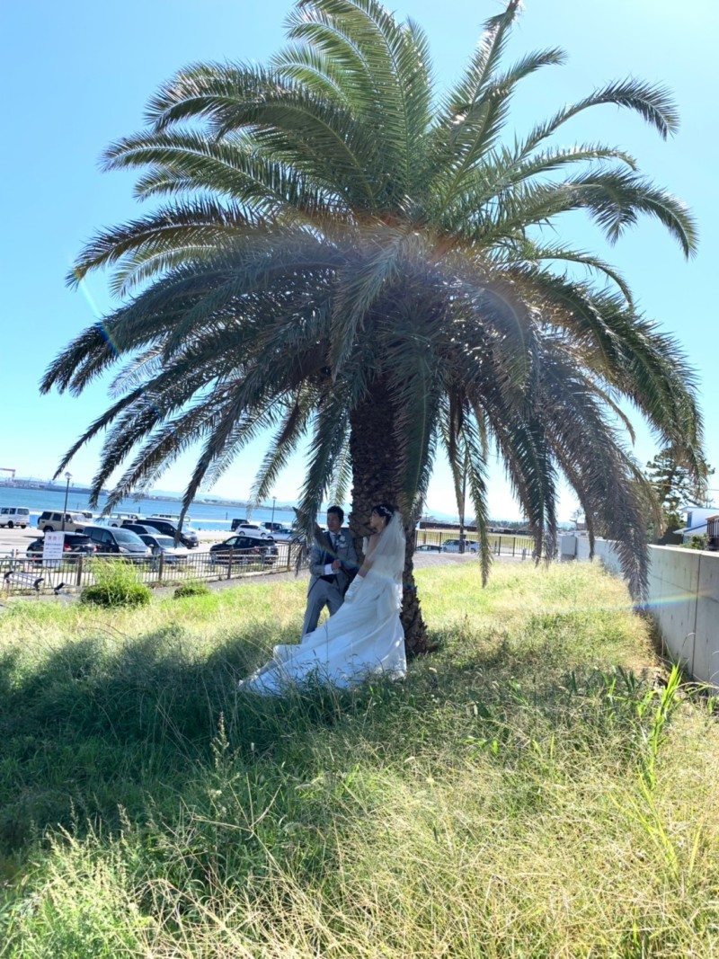 MaiBRIDE　津／ノードダモーレ　津_投稿写真