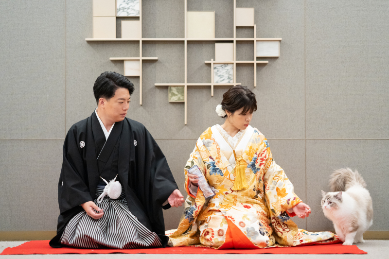 大切なご家族＝ねこちゃん＊