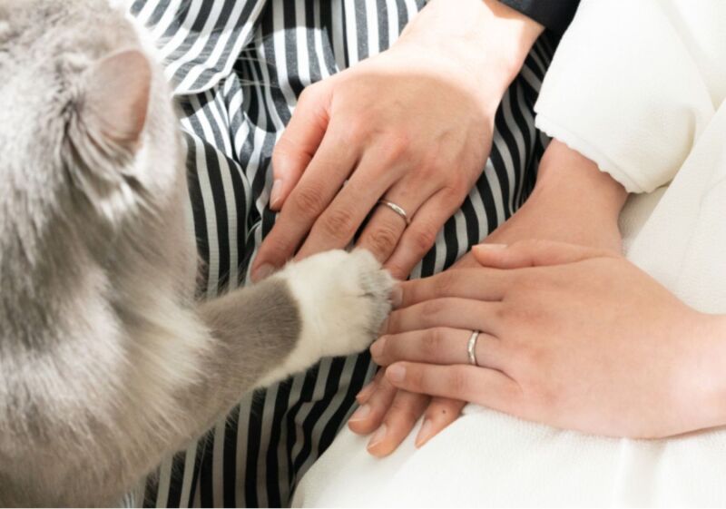 【ペットとフォトウェディングをする時によくある質問5選】